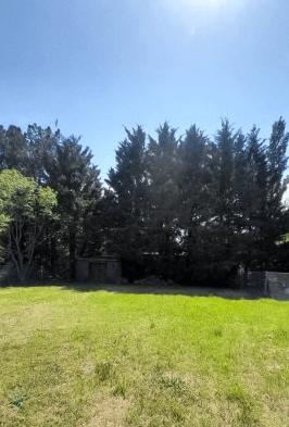 Esquerdo, Tandil
